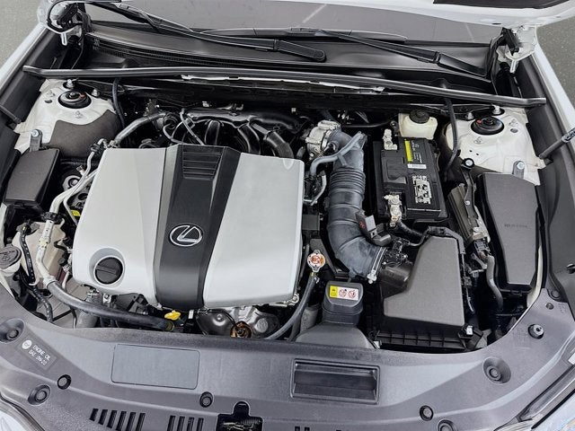 2019 Lexus ES 350 Ultra Luxury