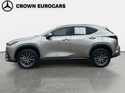 2023 Lexus NX 350 Premium