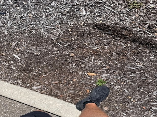 2024 Mercedes-Benz GLS 450