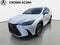 2024 Lexus NX NX 250 Premium