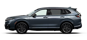 Crown Honda in Pinellas Park FL