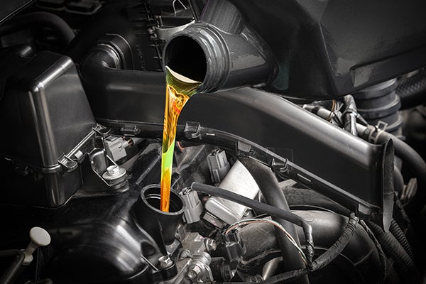 Full Synthetic Oil Change